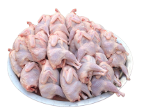 bıldırcın eti 40 adet (130 gr. adet ağırlığı)
