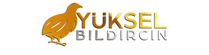 yuksel bıldırcın