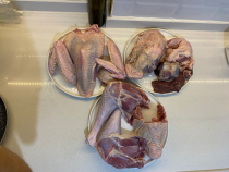 köy hindisi (DOĞRANMIŞ) ( 3,5 - 4 kg ) organik yaylım hindisi