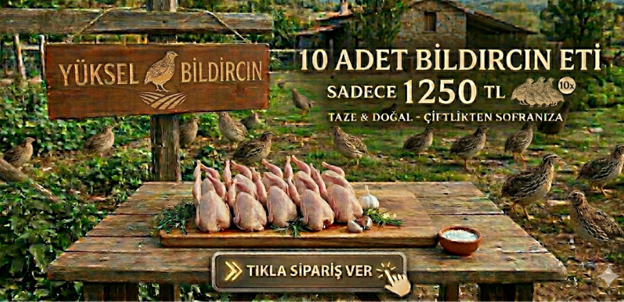 bıldırcın